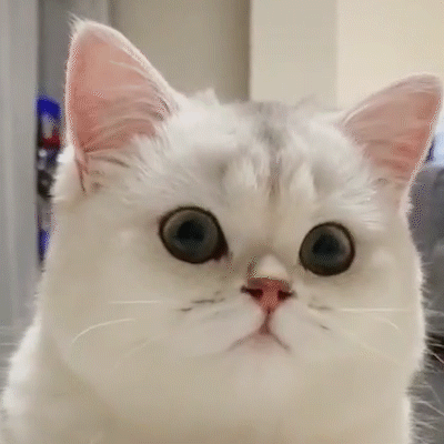 AI生成画作拿一等奖，人类艺术家怒了！(图10)