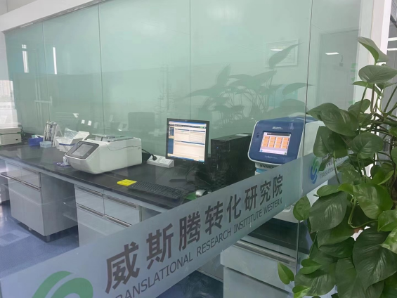 让基因编辑赋能肿瘤早期诊断，推动生命科学产业高质量发展！(图1)