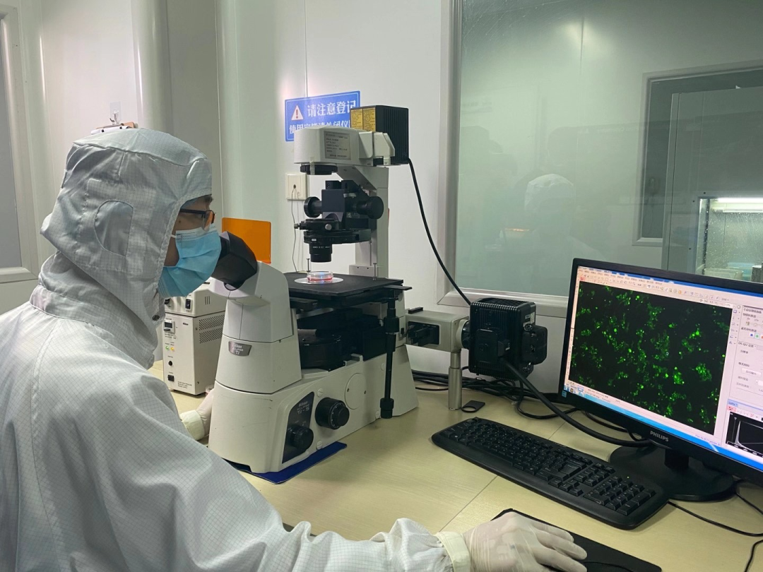 让基因编辑赋能肿瘤早期诊断，推动生命科学产业高质量发展！(图3)