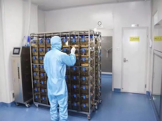 让基因编辑赋能肿瘤早期诊断，推动生命科学产业高质量发展！(图6)